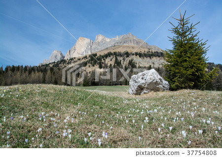 Rosengarten Group, South Tyrol, Italy Rosengarten Group, South Tyrol, Italy 37754808