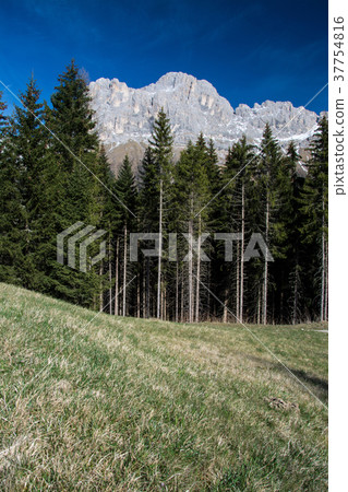 Rosengarten Group, South Tyrol, Italy 37754816