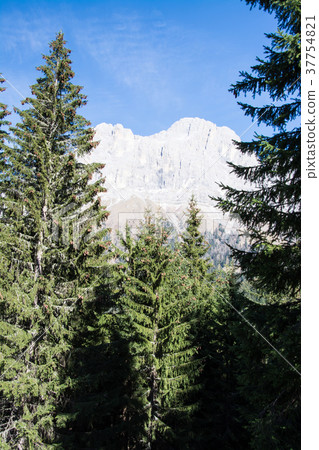 Rosengarten Group, South Tyrol, Italy Rosengarten Group, South Tyrol, Italy 37754821