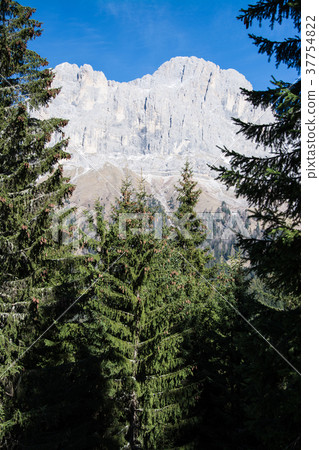 Rosengarten Group, South Tyrol, Italy 37754822