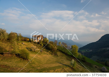 Alp Seiser, South Tyrol, Italy 37754830