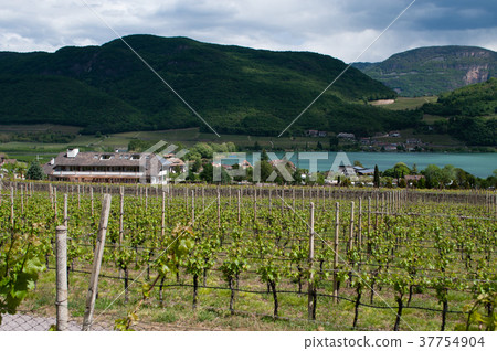 Lake Kaltern, South Tyrol, Italy 37754904