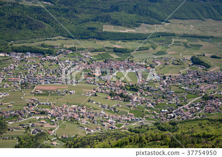 Kaltern an der Weinstrasse, Italian, Caldaro sulla Strada del Vino 37754950