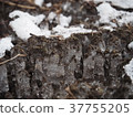 frost pillar 37755205