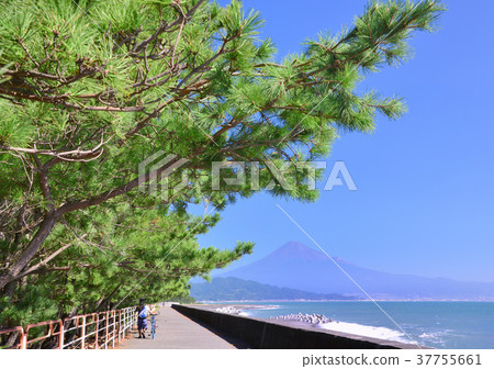 Chigasaki-880 53的風景 Chigasaki-880 53的風景 37755661