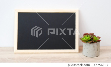 Blank chalkboard and succulent plant on wood table Blank chalkboard and succulent plant on wood table 37756197