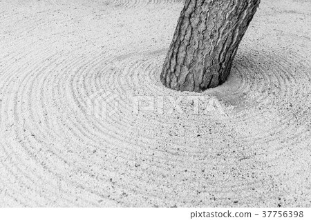 Zen stone garden in Japan black and white 37756398