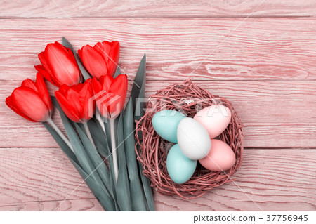 Easter Eggs in a birds nest with colorful tulips 37756945