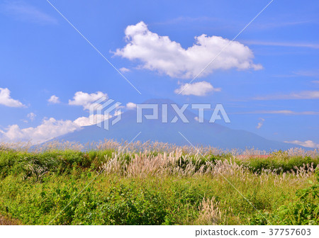 Early autumn scenery from Oshino-777864 37757603