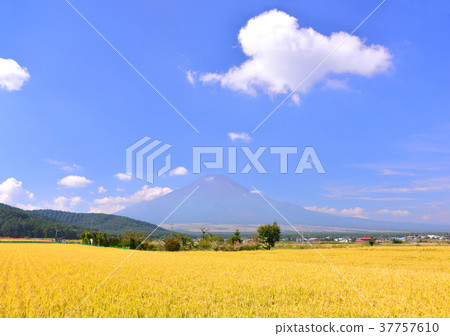Autumn scenery from Oshino-777874 37757610