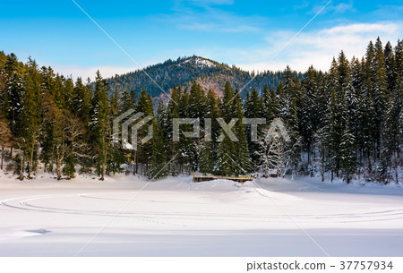 snow covered frozen Synevyr lake in winter snow covered frozen Synevyr lake in winter 37757934