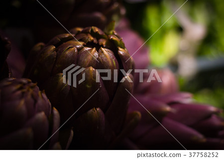 Purple artichoke isolated. Market place. organic 37758252