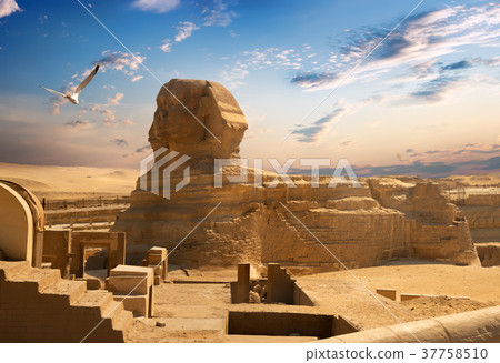 Sphinx and Giza 37758510