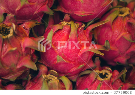 Closeup fresh dragon fruit in market Kuala Lumpur 37759068