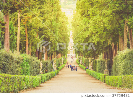 Boboli gardens in Florence Boboli gardens in Florence 37759481