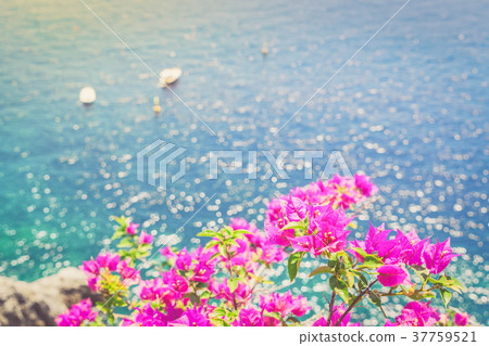 Amalfi coast, Italy 37759521