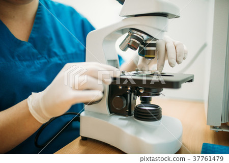 Veterinarian looks through a microscope in clinic Veterinarian looks through a microscope in clinic 37761479
