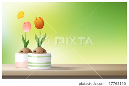 Hello Spring background with Spring flower Tulips 37763130