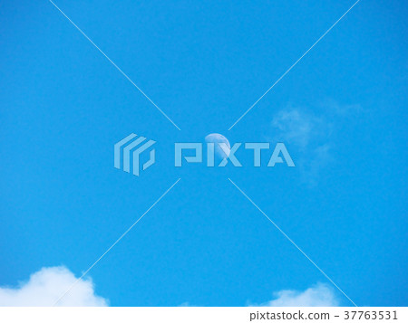 藍天和月亮（2010.1 / 26）9歲（小潮） 37763531