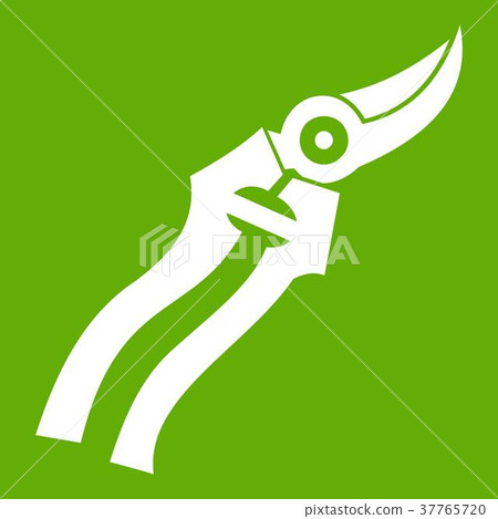 Garden shears icon green Garden shears icon green 37765720