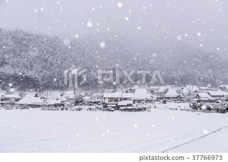 京都Miyama Seki no Sato雪景 37766973