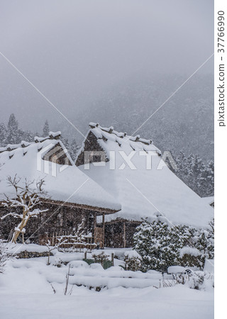 Kyoto Miyama Seki no Sato snow scene 37766990
