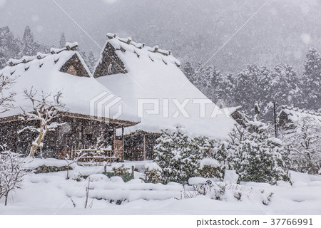 京都Miyama Seki no Sato雪景 37766991
