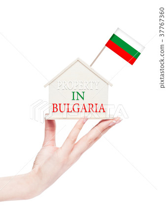 Female hand holding wooden house model with flag 37767360