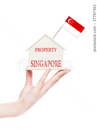 Female hand holding wooden house model with flag 37767361