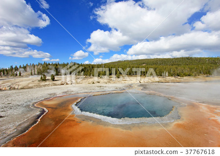 Crested Pool hot spring in Upper Geyser Basin in Crested Pool hot spring in Upper Geyser Basin in 37767618