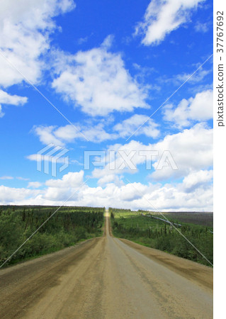 View of Dalton Highway with oil pipeline, leading View of Dalton Highway with oil pipeline, leading 37767692