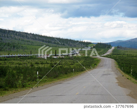View of Dalton Highway with oil pipeline, leading View of Dalton Highway with oil pipeline, leading 37767696
