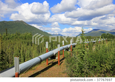 Oil pipeline along Dalton Highway, leading from Oil pipeline along Dalton Highway, leading from 37767697