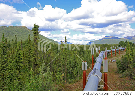 Oil pipeline along Dalton Highway, leading from Oil pipeline along Dalton Highway, leading from 37767698