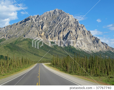View of Dalton Highway with mountains, leading View of Dalton Highway with mountains, leading 37767740