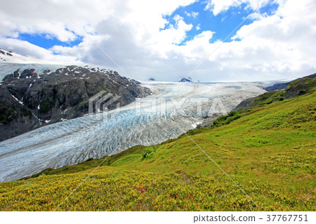 Exit Glacier, Harding Ice Field, Kenai Fjords Exit Glacier, Harding Ice Field, Kenai Fjords 37767751