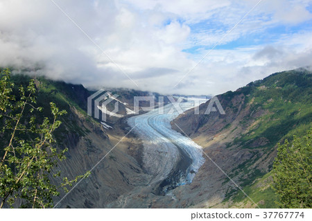 Salmon Glacier near Hyder, Alaska and Stewart 37767774