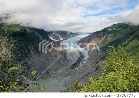 Salmon Glacier near Hyder, Alaska and Stewart 37767775