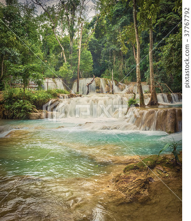 Tat Sae Waterfalls. Beautiful landscape. Laos. 37767792