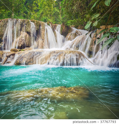 Tat Sae Waterfalls. Beautiful landscape. Laos. 37767793