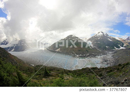 Salmon Glacier near Hyder, Alaska and Stewart 37767807