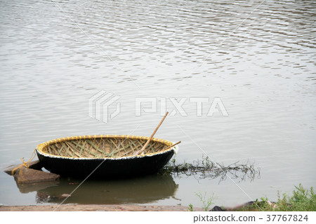 New Coracle 37767824