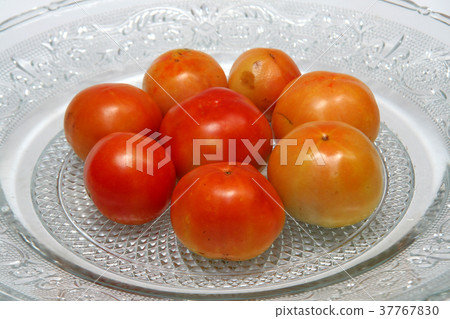 Juicy Tomatoes 37767830