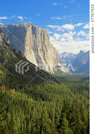 Panoramic view of Half Dome, El Capitan and other 37767928