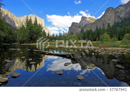 The famous mountain El Capitan, the nose in the 37767941