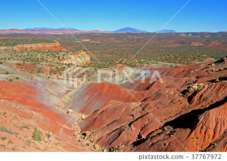 Red rock landscape along Burr Trail and Capitol 37767972