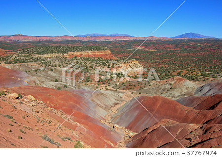 Red rock landscape along Burr Trail and Capitol Red rock landscape along Burr Trail and Capitol 37767974
