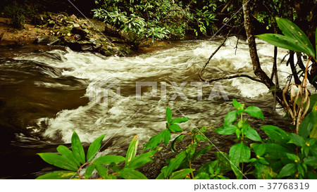 Mountain stream and Waterfall 37768319