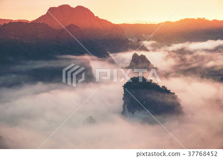 Mountainous rain fog and forest landscape Mountainous rain fog and forest landscape 37768452