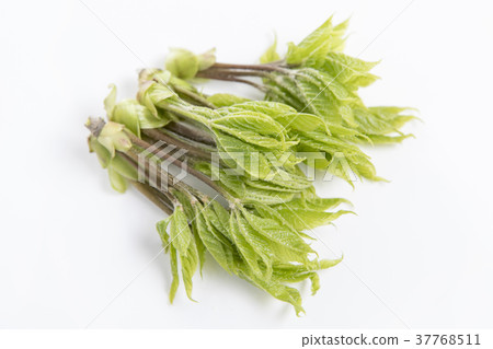 簡單和白色背景 37768511